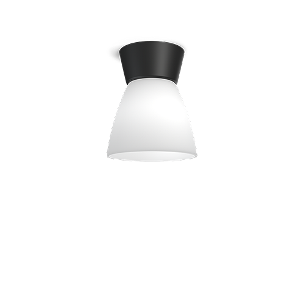 Bizzo taklampe - glasskjerm