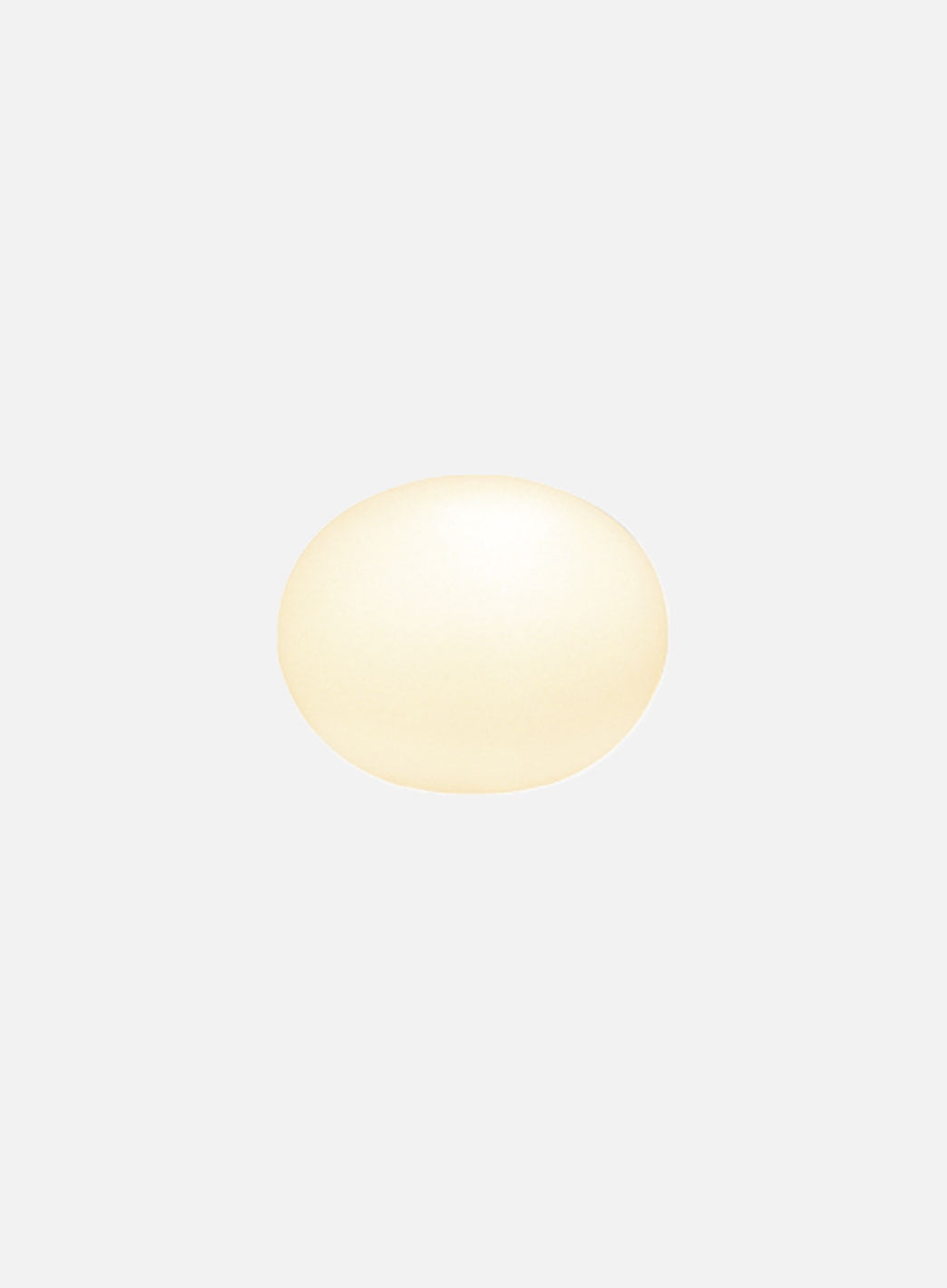 287f41ad5ae34851e006e2513272bd92d9d329cf_GLOBUS_24_1.jpg