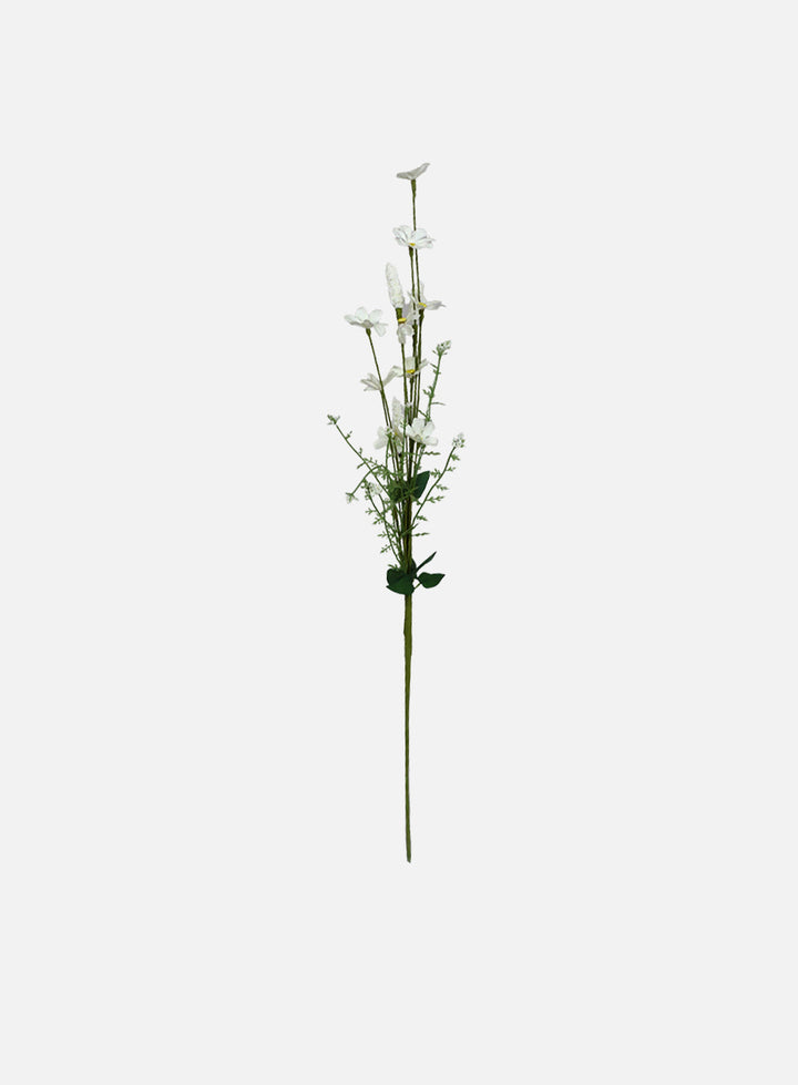 Blomst_hvit_bg.jpg