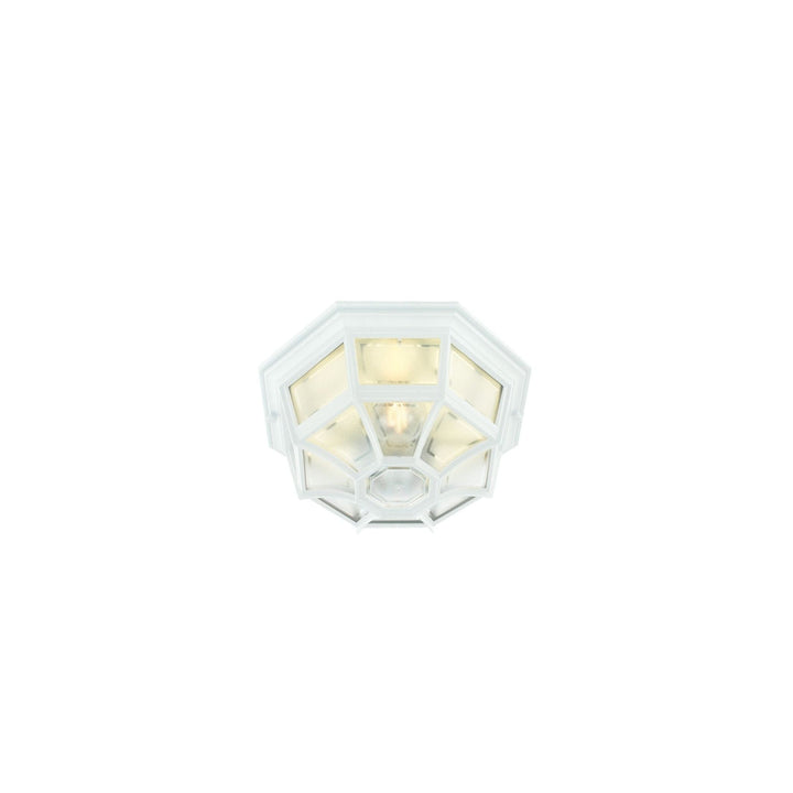 Latina