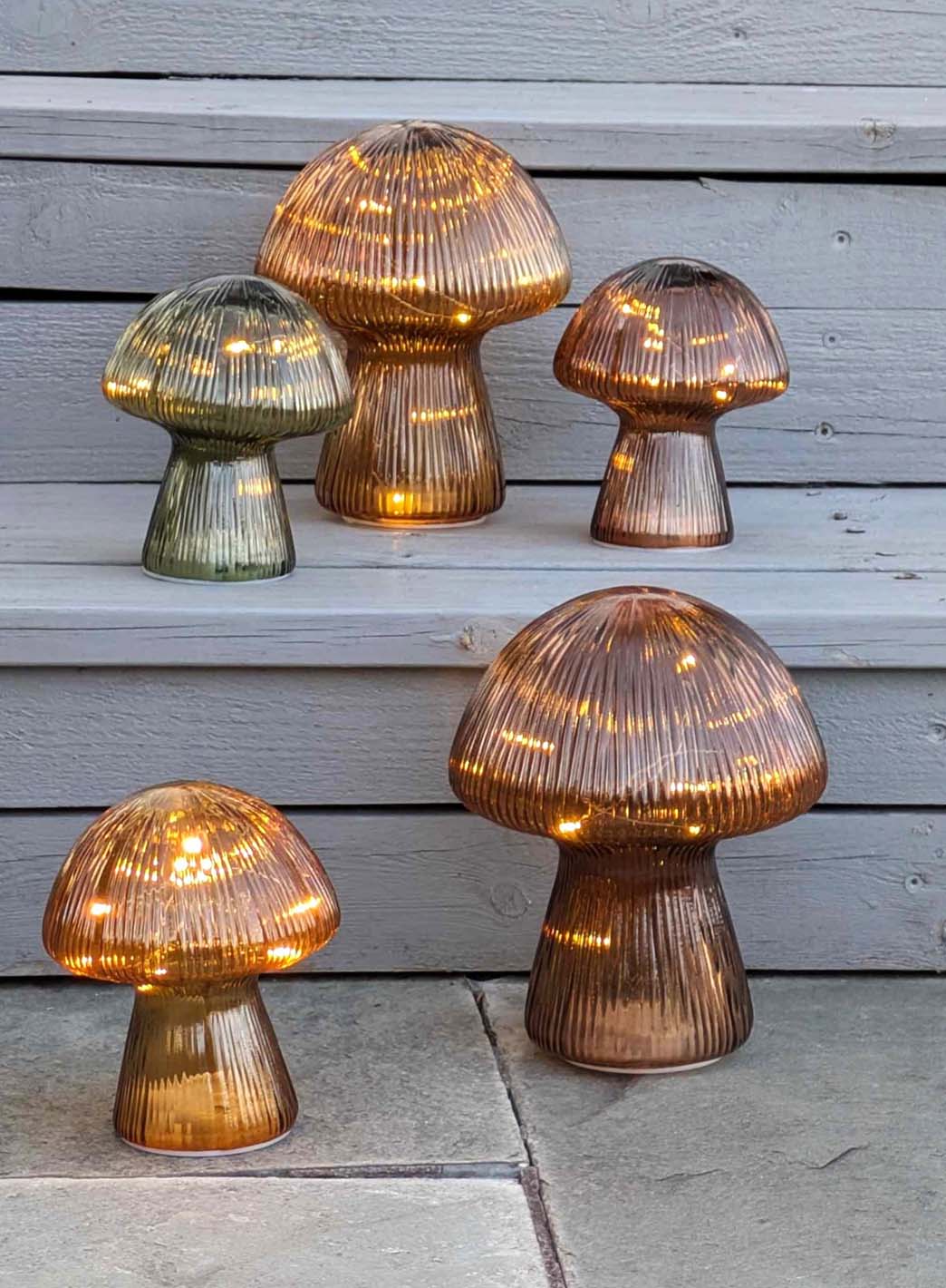 Mushroom_1.jpg