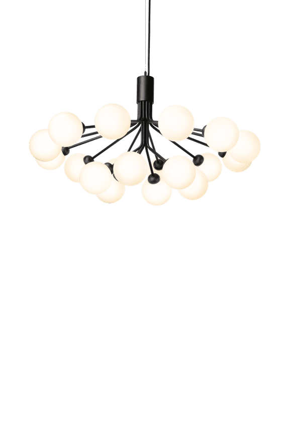 Apiales 18 lysekrone