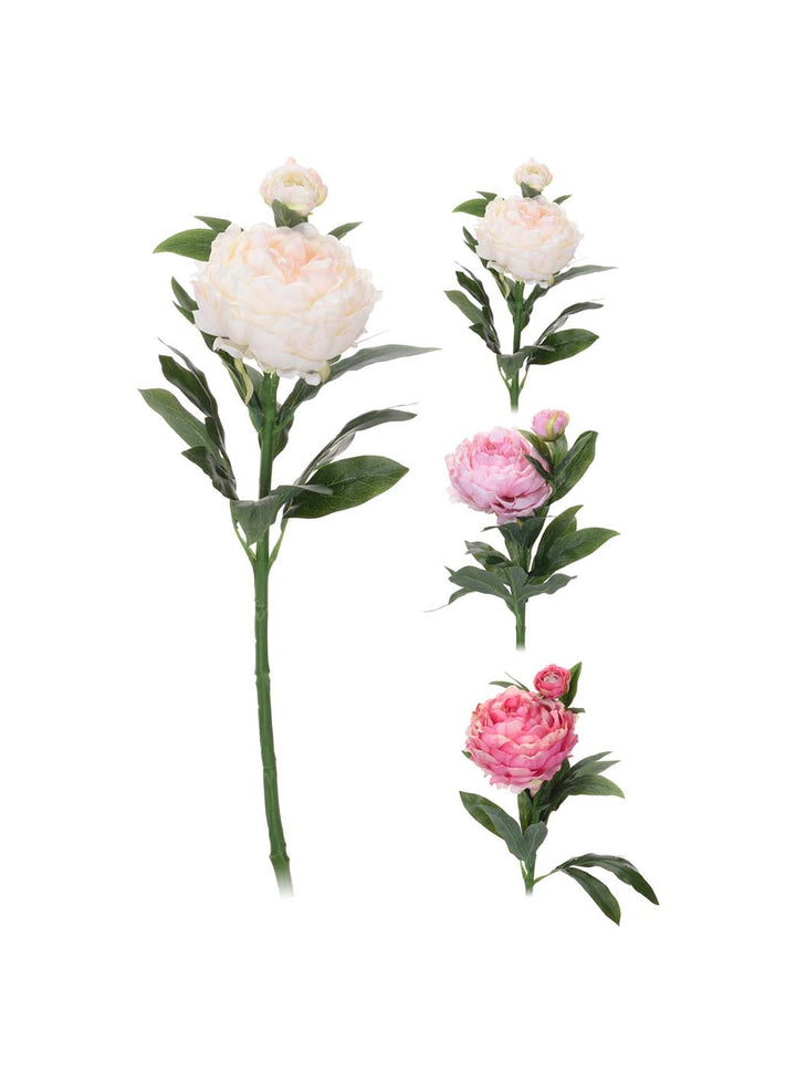Peon to blomster H61 assorterte farger