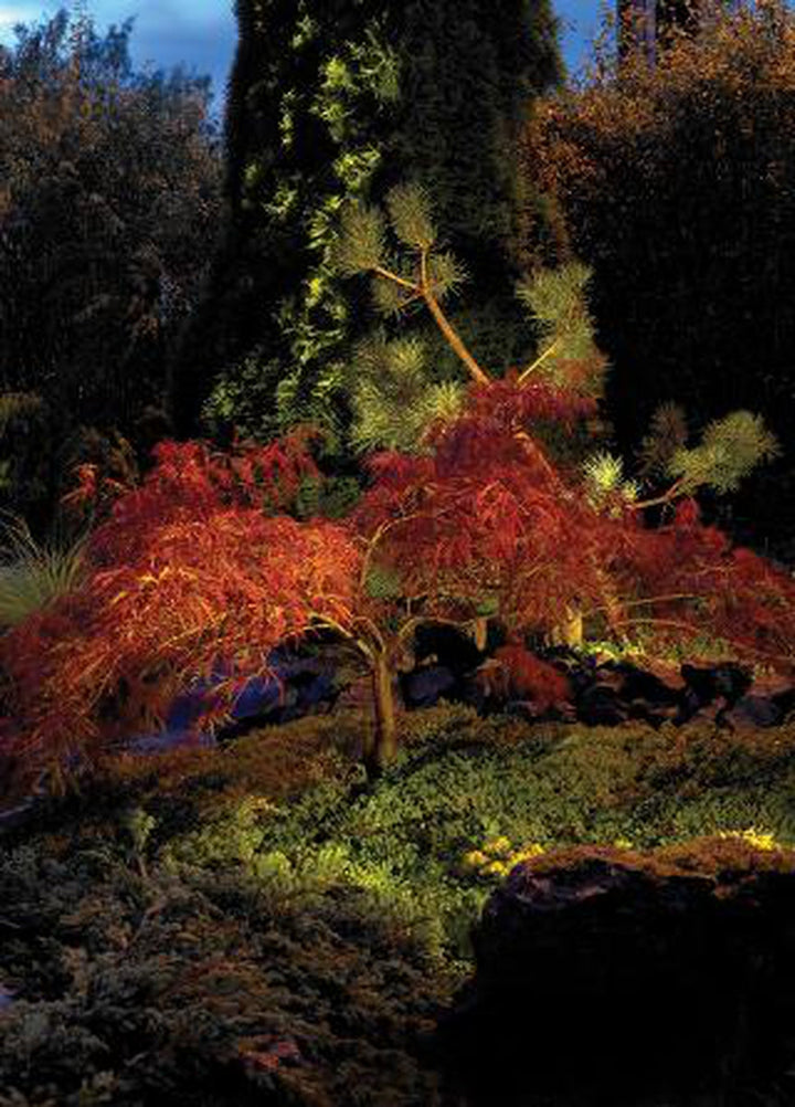 Rena-1555-uplight-firkantet-IP68-55W-Utebelysning-uplight-Norlys-3120032-2.jpg