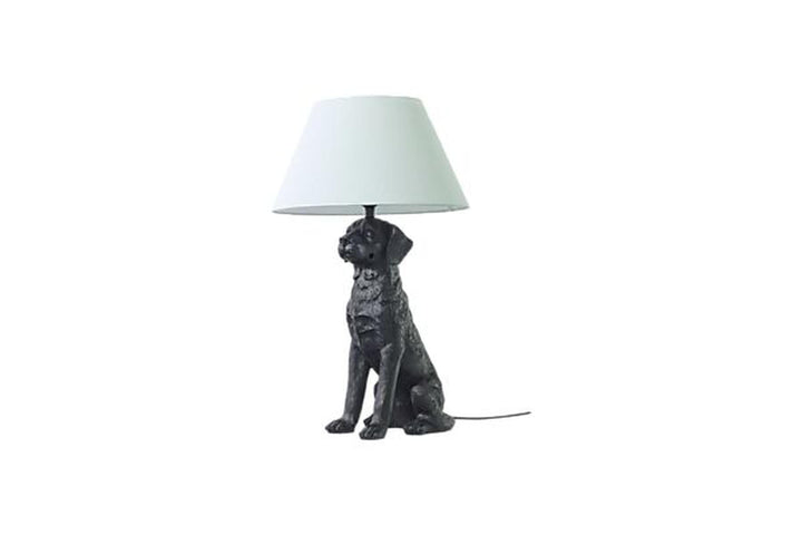 Retriver-bordlampe-Bordlamper-Aneta-Lighting-28090-15-00-4.jpg