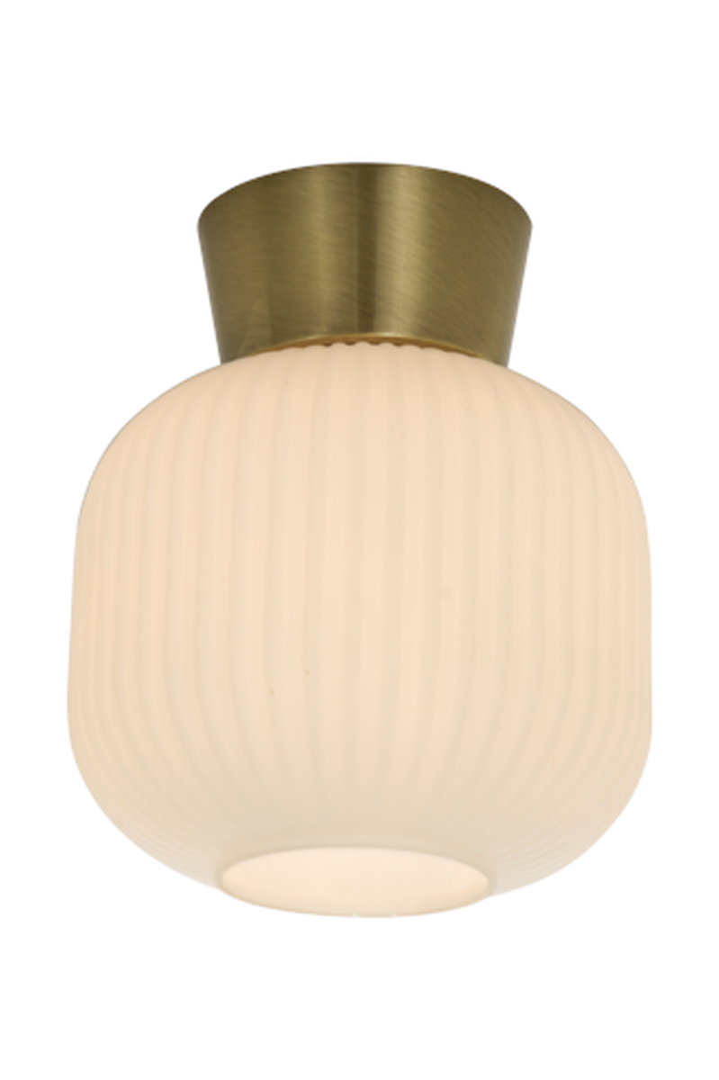 Vanja-taklampe-20-cm-Taklamper-Aneta-Lighting-16912-25-1.png