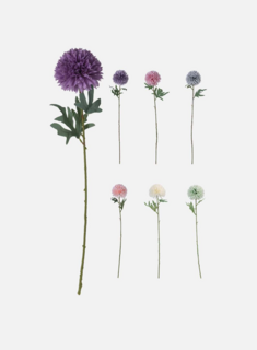 Allum blomster - H60 (7 ass farger)