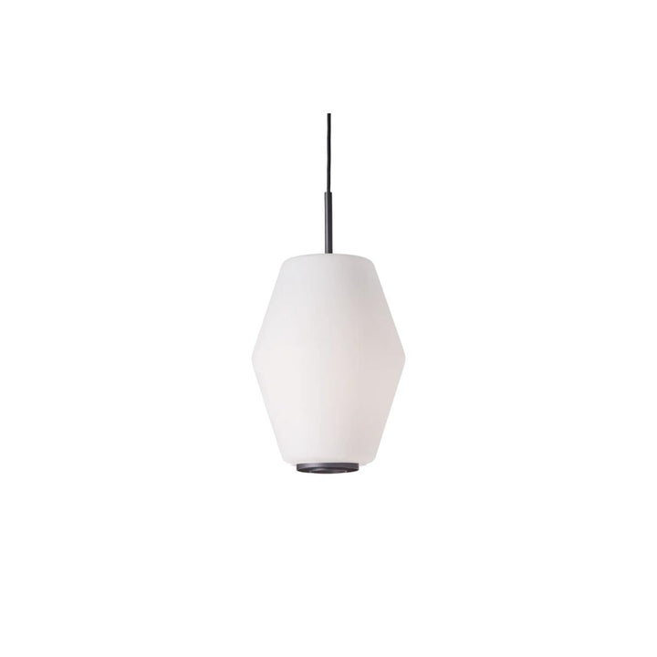 s-files-1-0950-7622-1112-files-Dahl-takpendel-stor-Takpendler-Northern-Non_444446-3