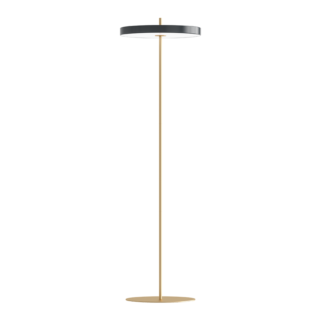 s-files-1-0950-7622-1112-files-Utgatt-Utgatt-Asteria-gulvlampe-Antrasittgra-Gulvlamper-Umage-2338-1